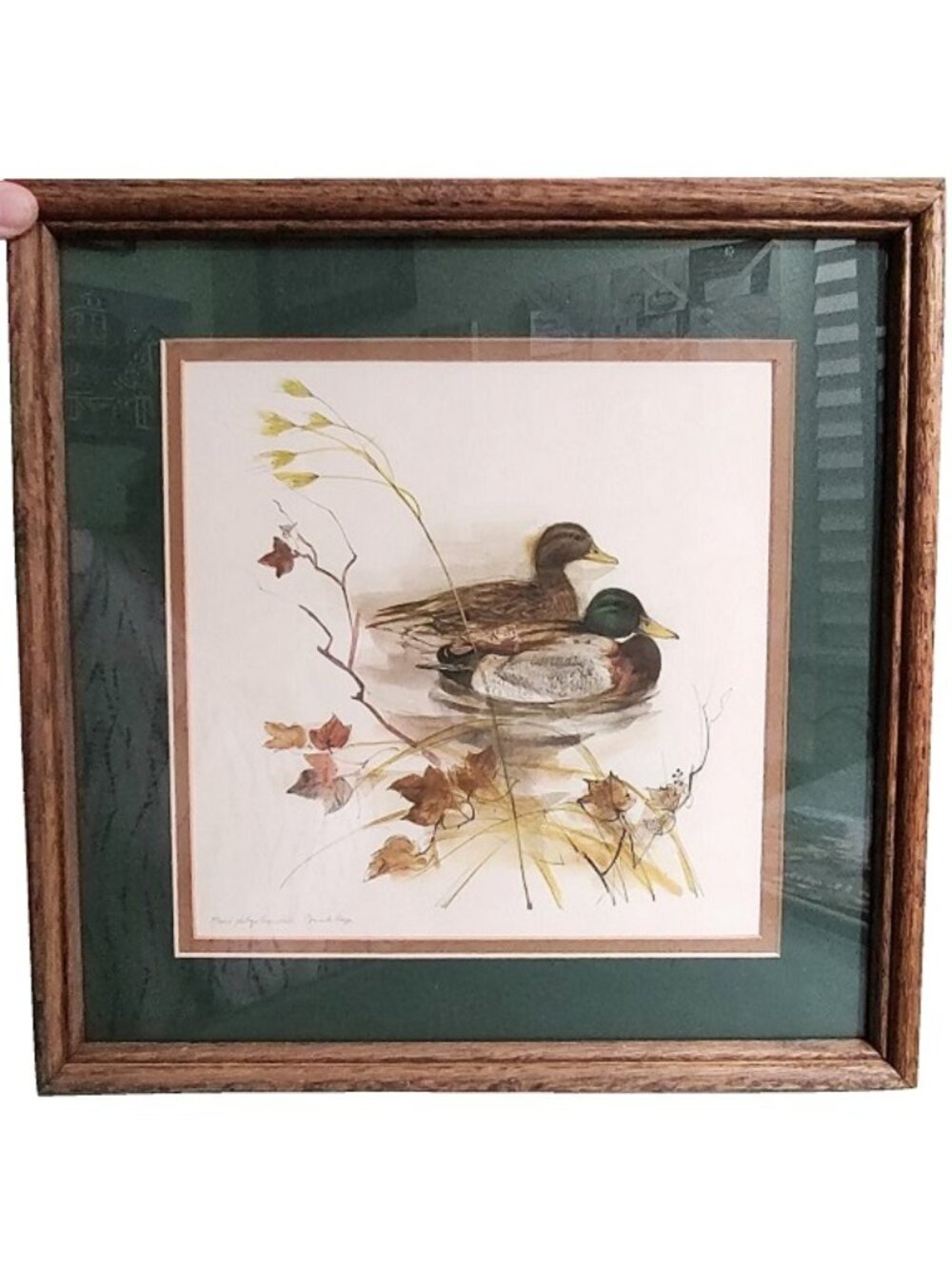 Framed Mallard Ducks Female-Male Pair Signed by Artist Mads Stage, Litho/Print
